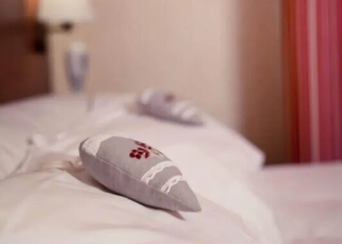 Отель Au Feu De Bois Amou